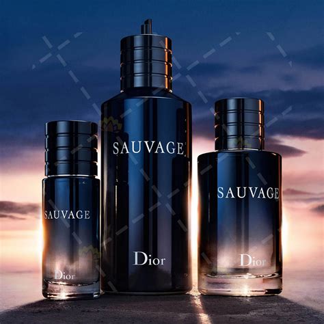 dior 曠野|dior parfum.